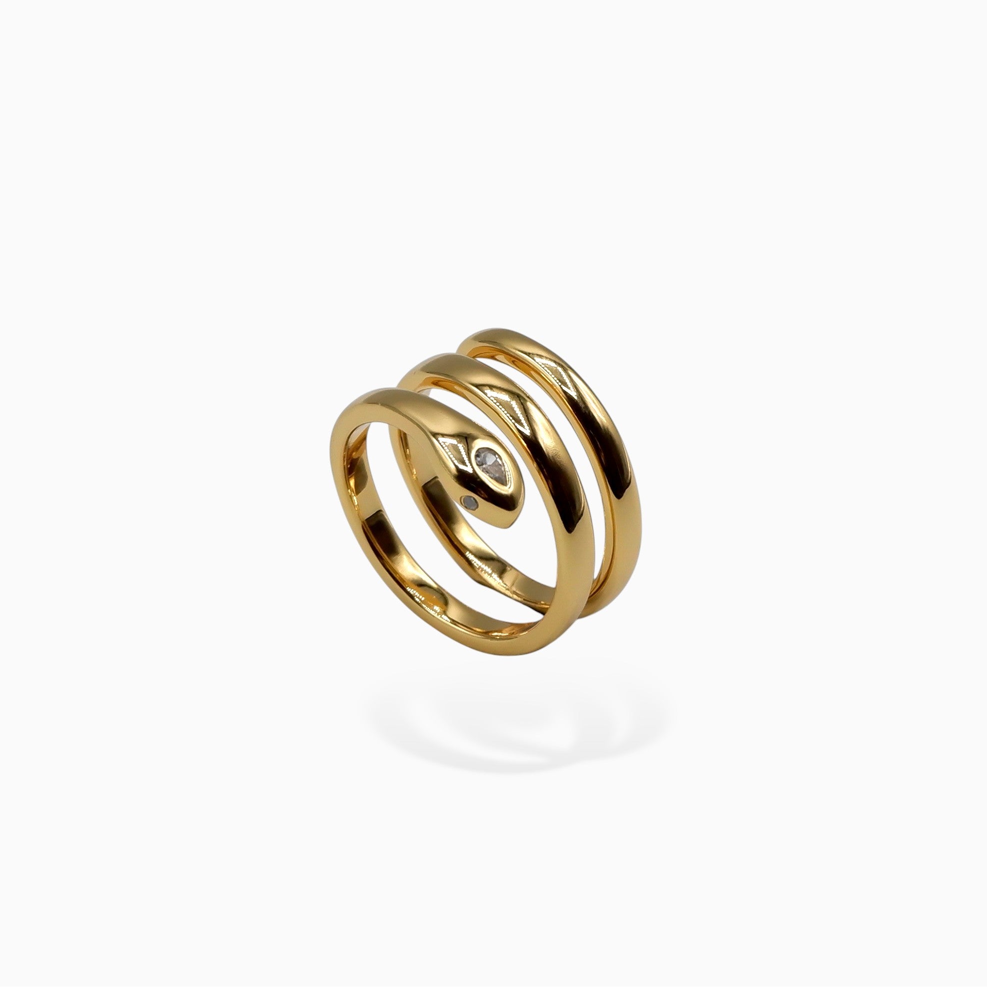 Anello fluido