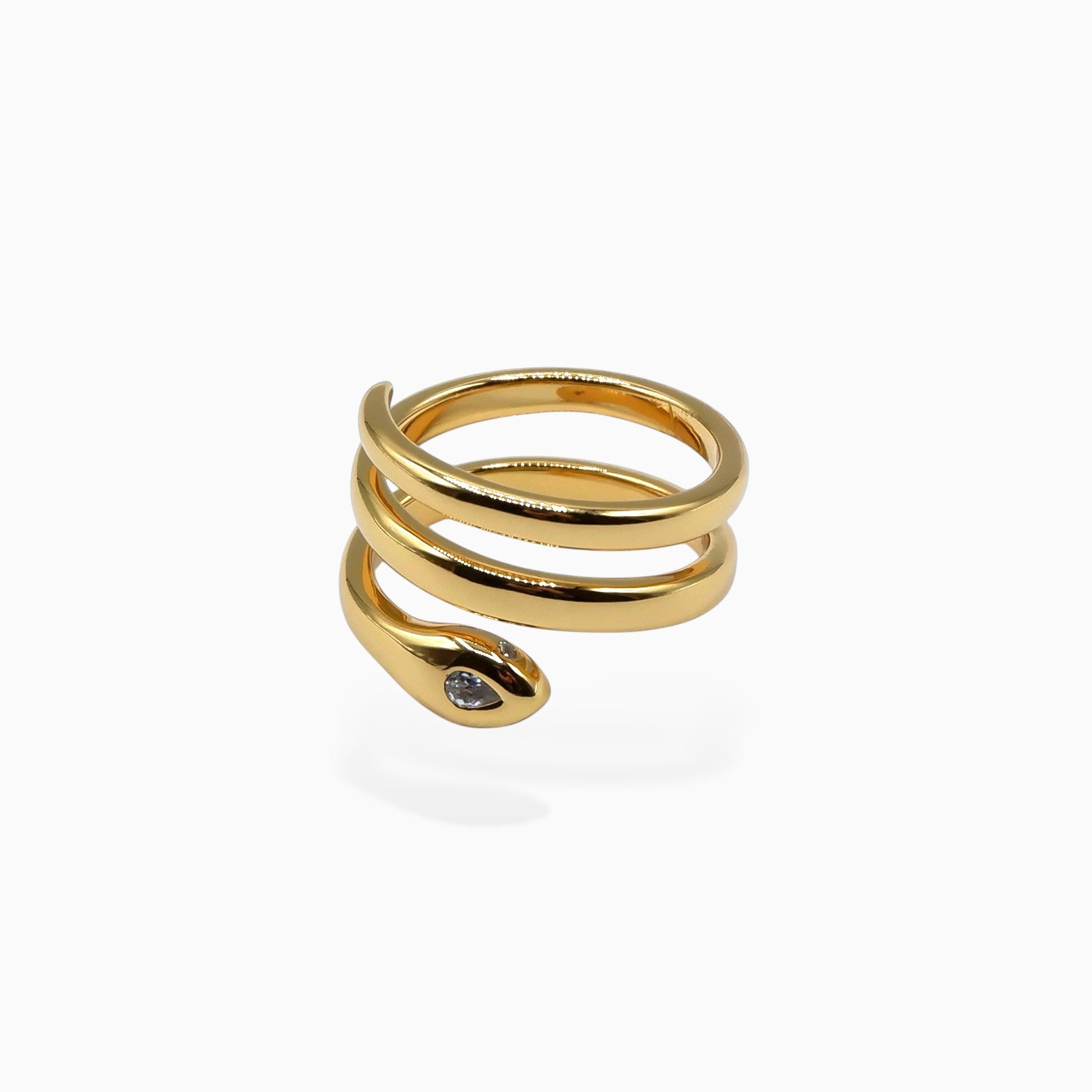 Anello fluido